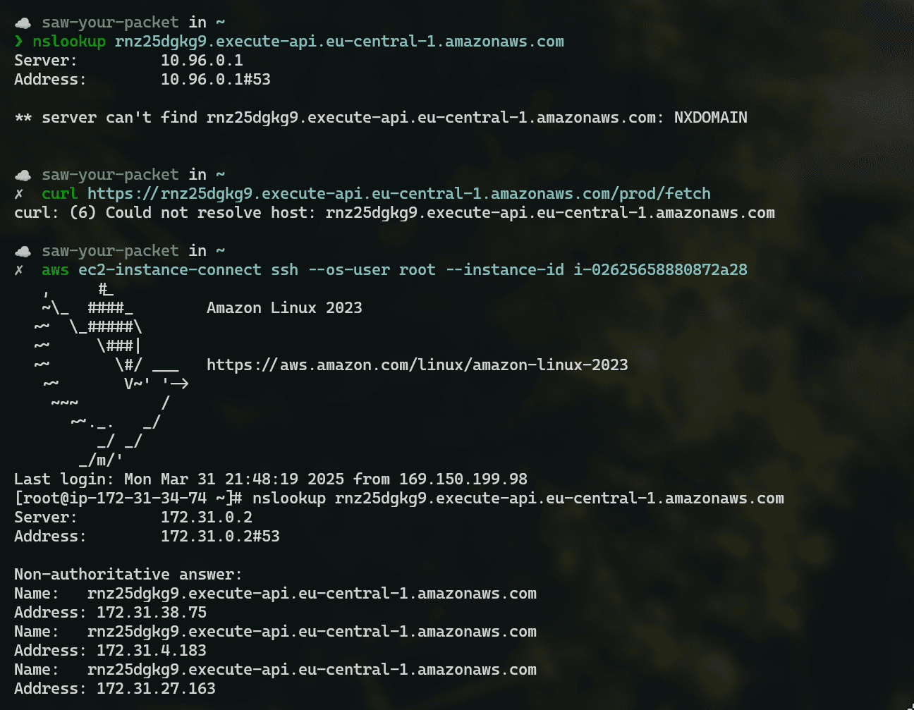 DNS is resolved from EC2 instance