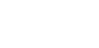 Wiz integration
